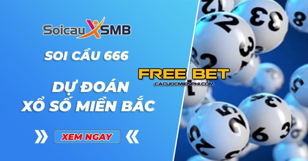Soicau666-3