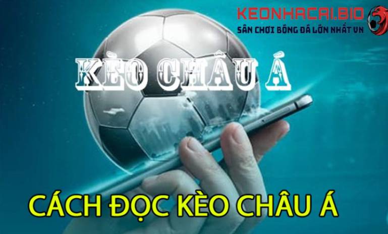 keo-ty-le-chau-a-1